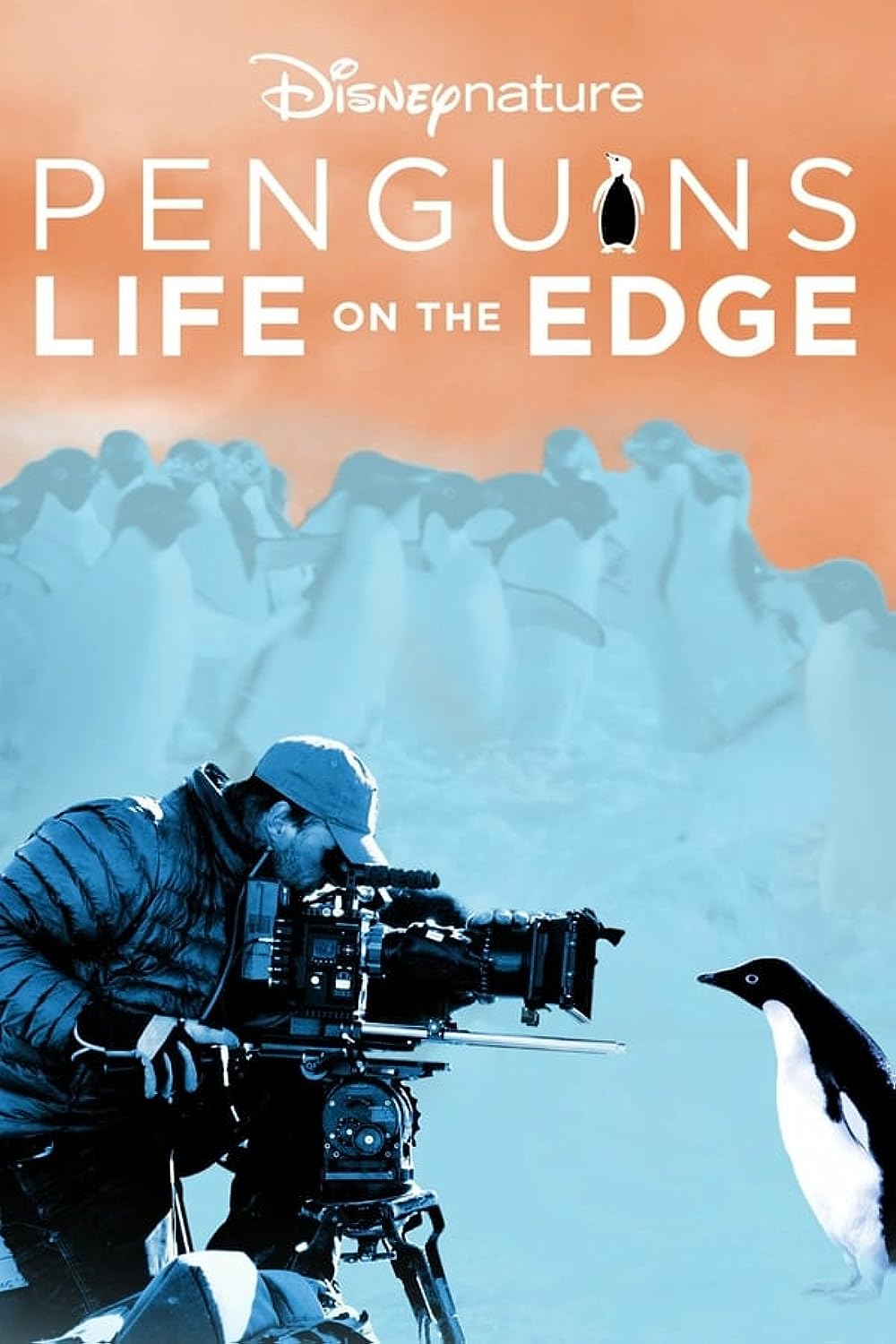 Penguins: Life on the Edge (2020)