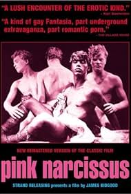Pink Narcissus (1974)