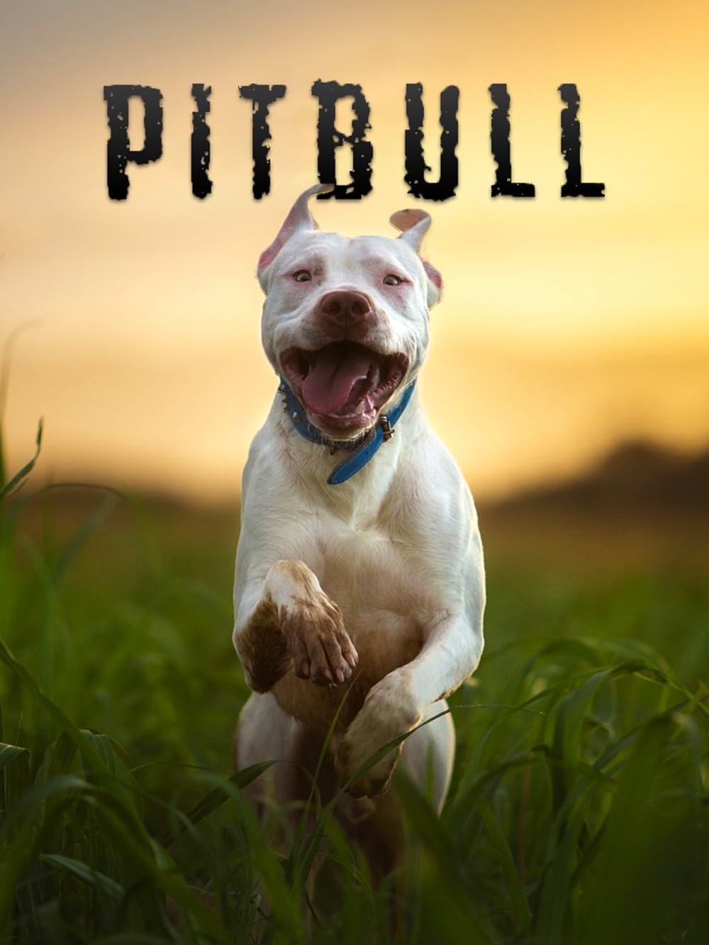 Pitbull (2018)