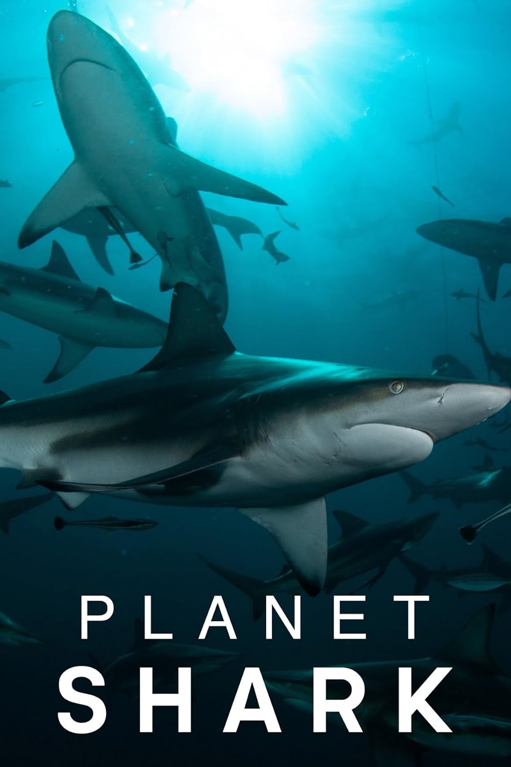 Planet Shark (2022)