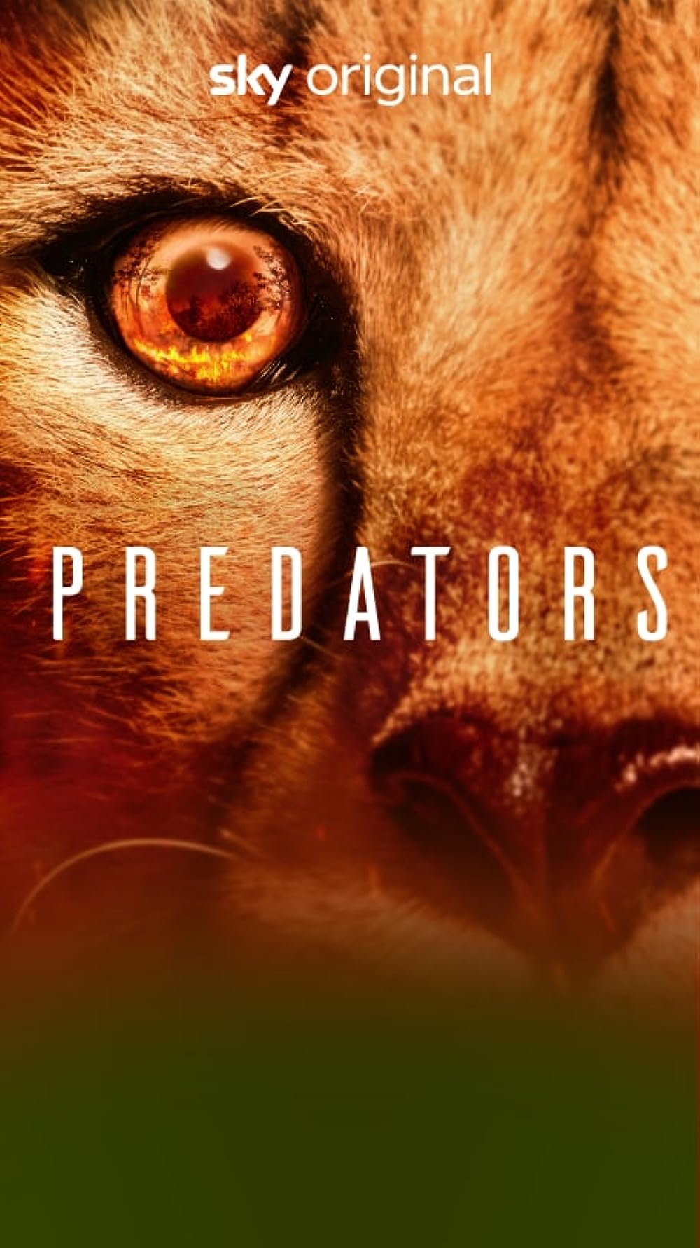 Predators (2023)