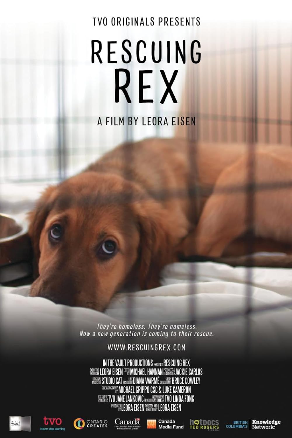 Rescuing Rex (2020)