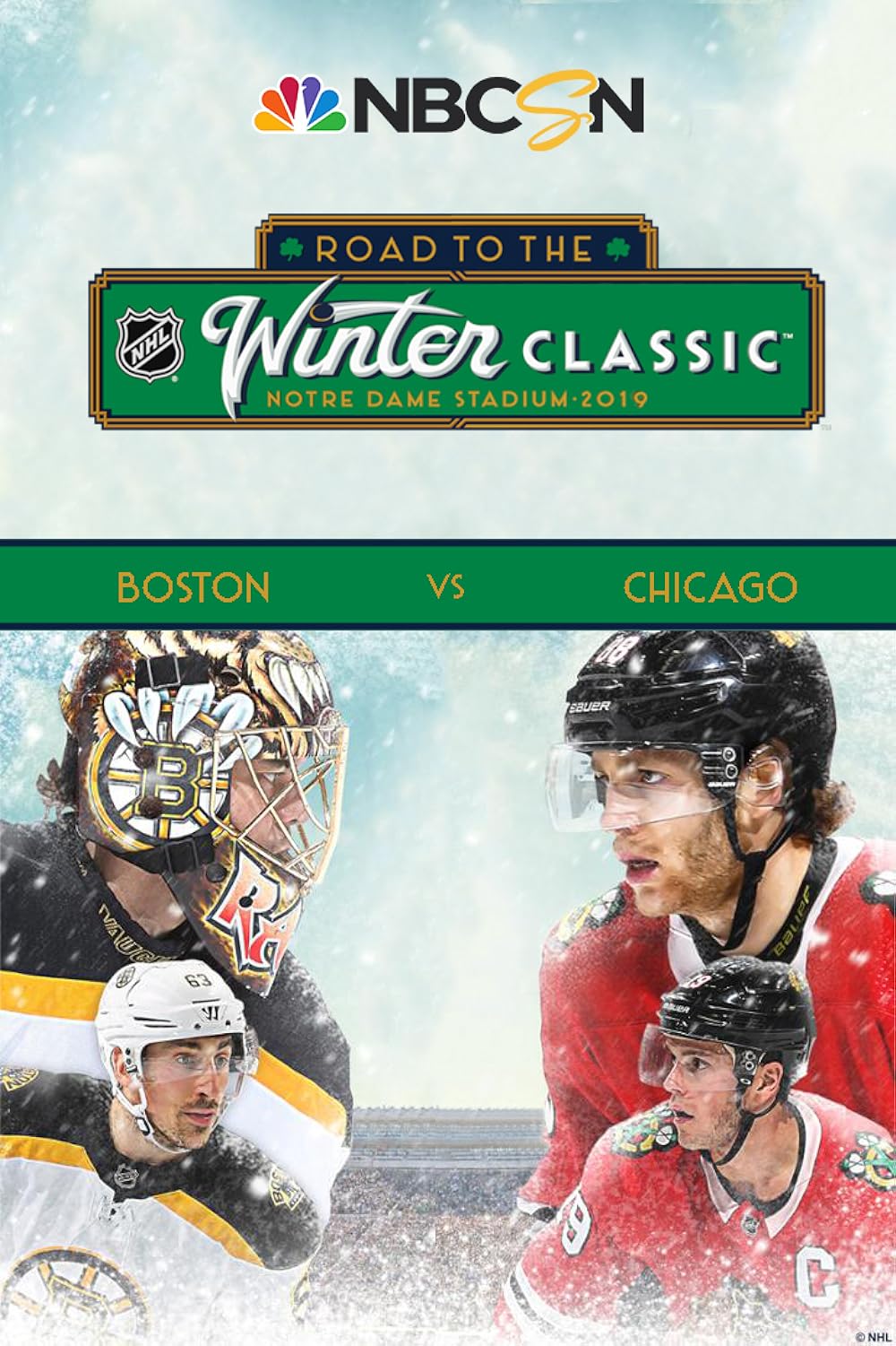 Road to the NHL Winter Classic (2014)