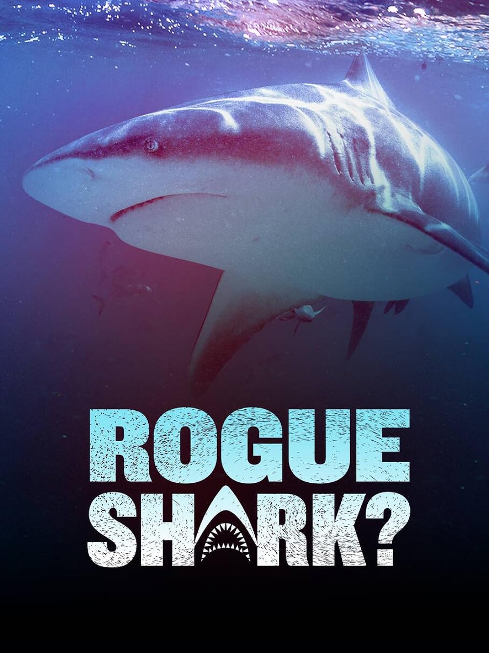 Rogue Shark? (2021)