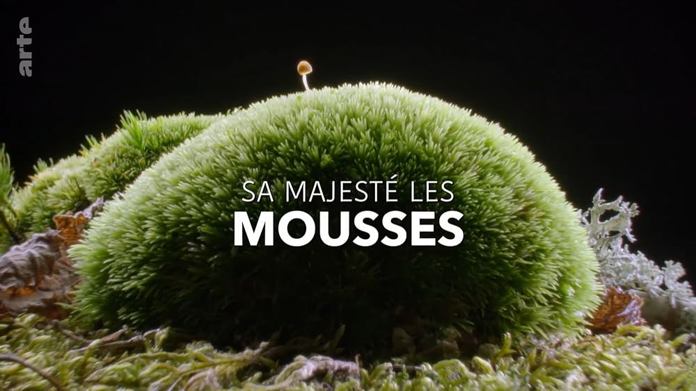 Sa MajestÃ© les mousses (2023)