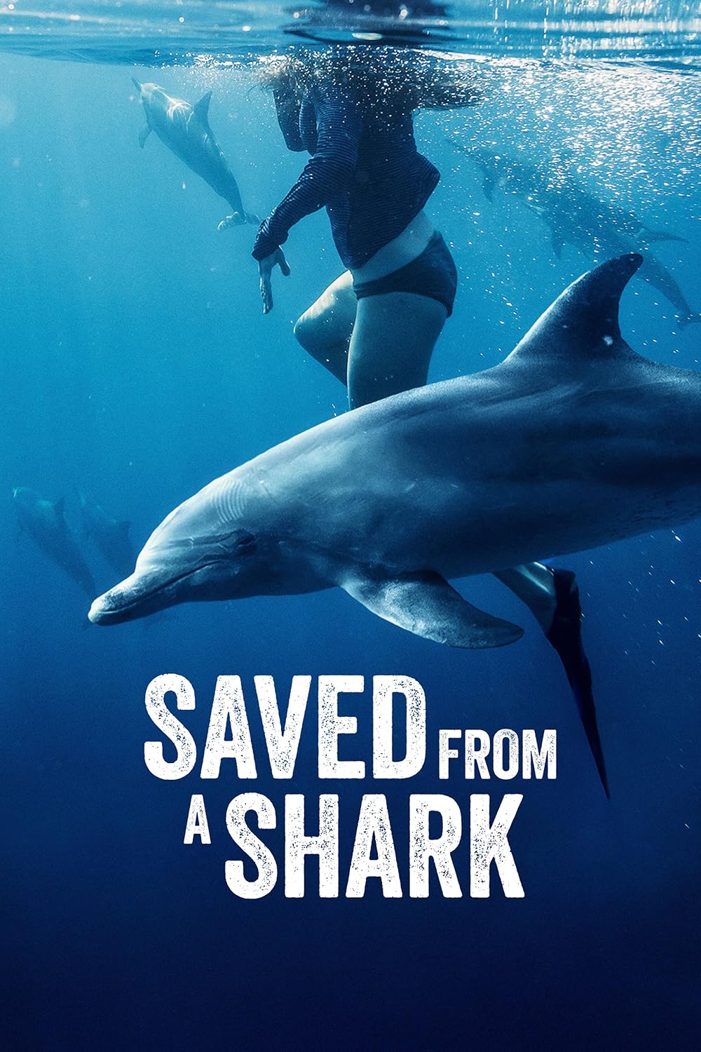 Saved From a Shark (2023)