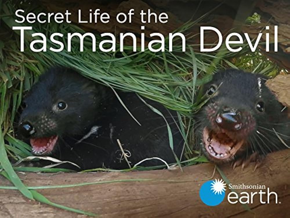 Secret Life of the Tasmanian Devil (2016)