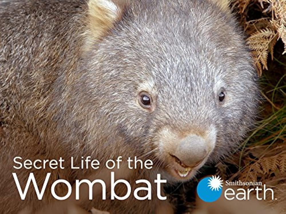 Secret Life of the Wombat (2016)