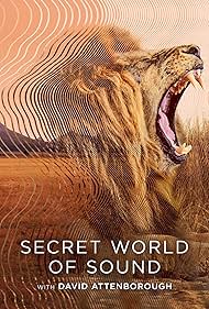 Secret World of Sound with David Attenborough (2024)