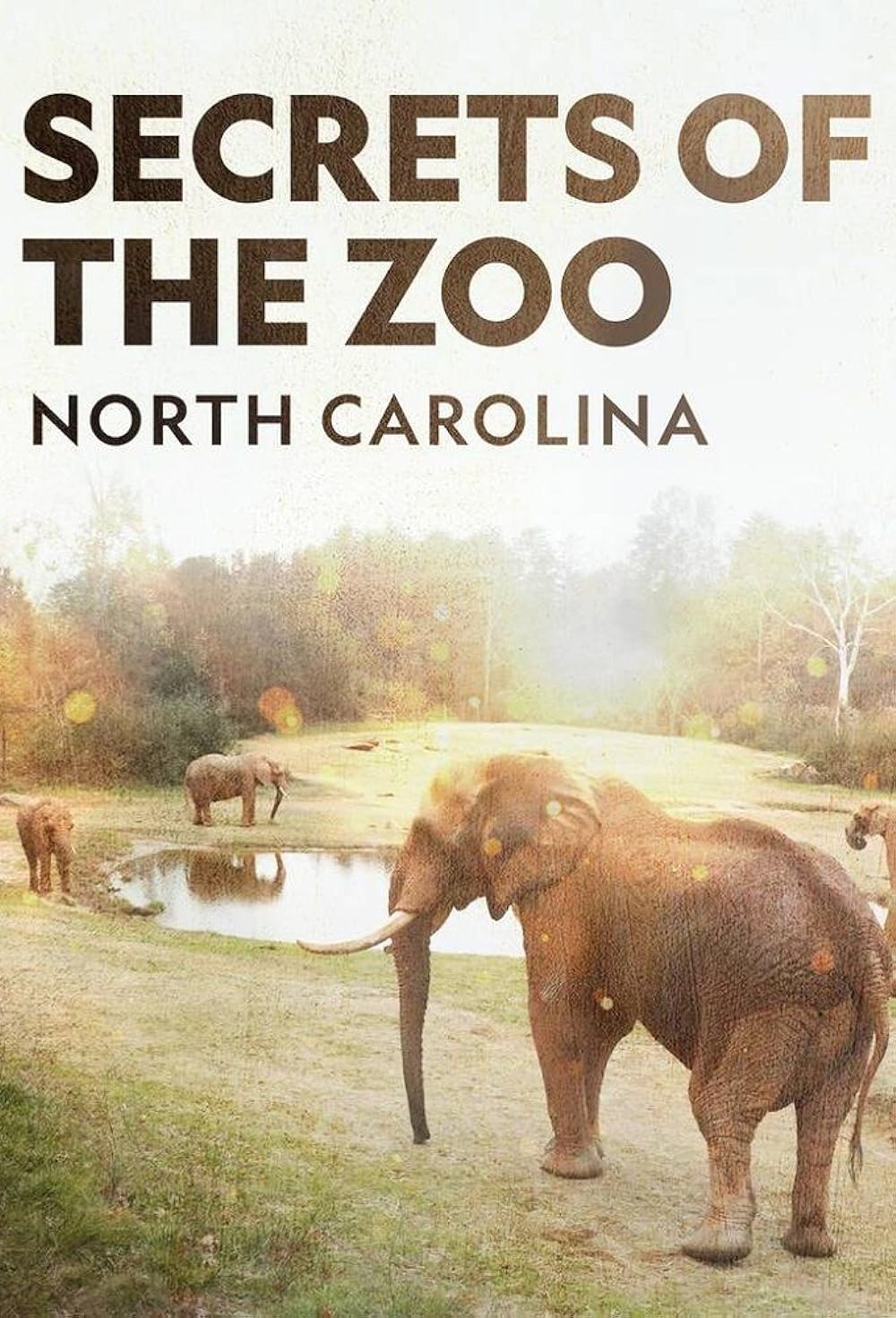 Secrets of the Zoo: North Carolina (2020)