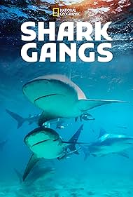 Shark Gangs (2021)