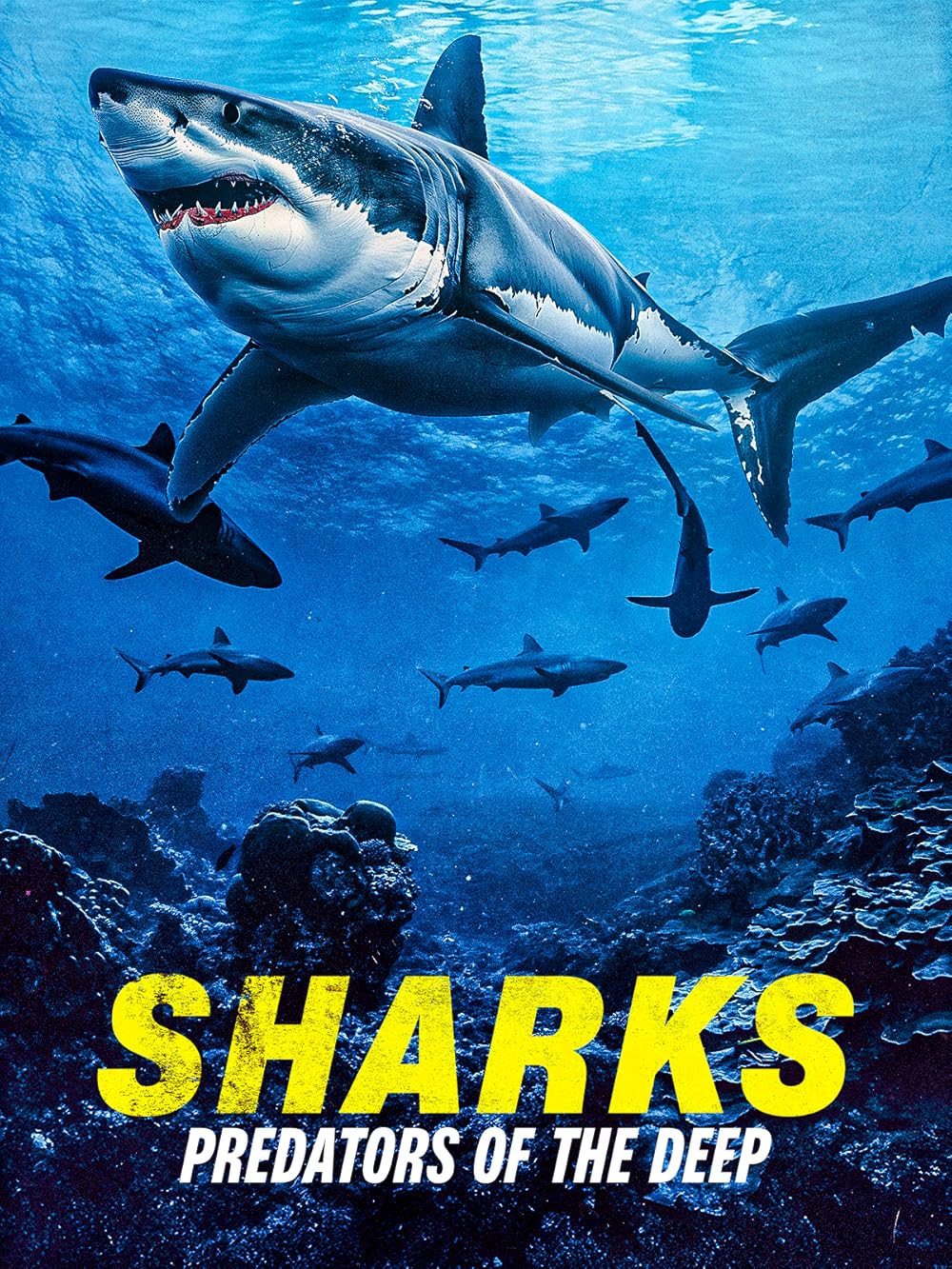 Sharks: Predators of the Deep (2024)