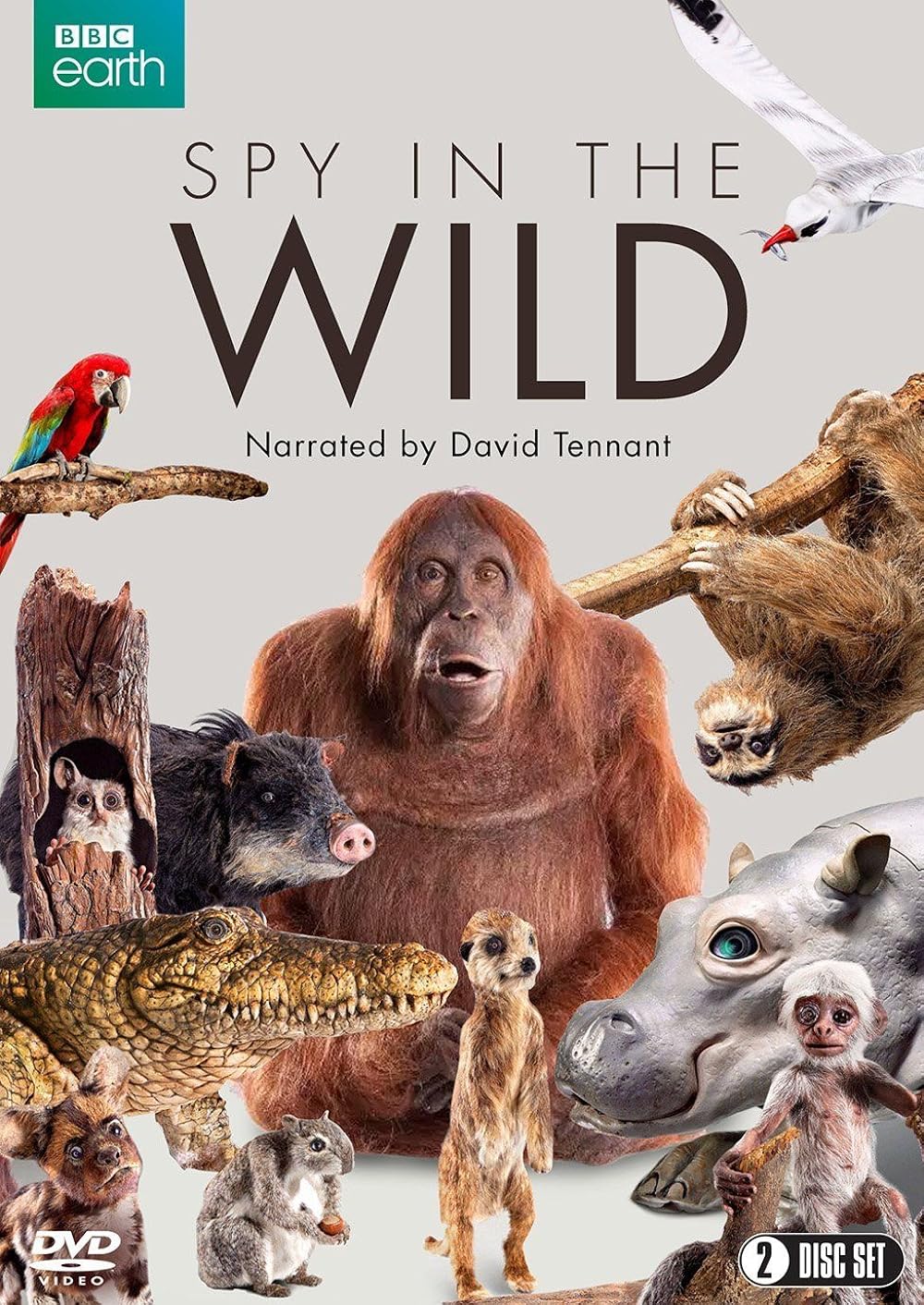 Spy in the Wild (2017)