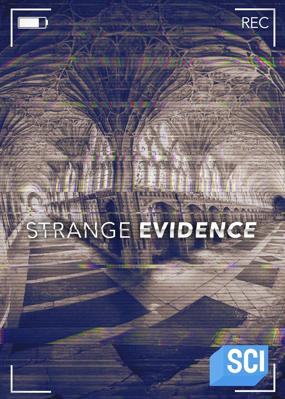 Strange Evidence (2017)