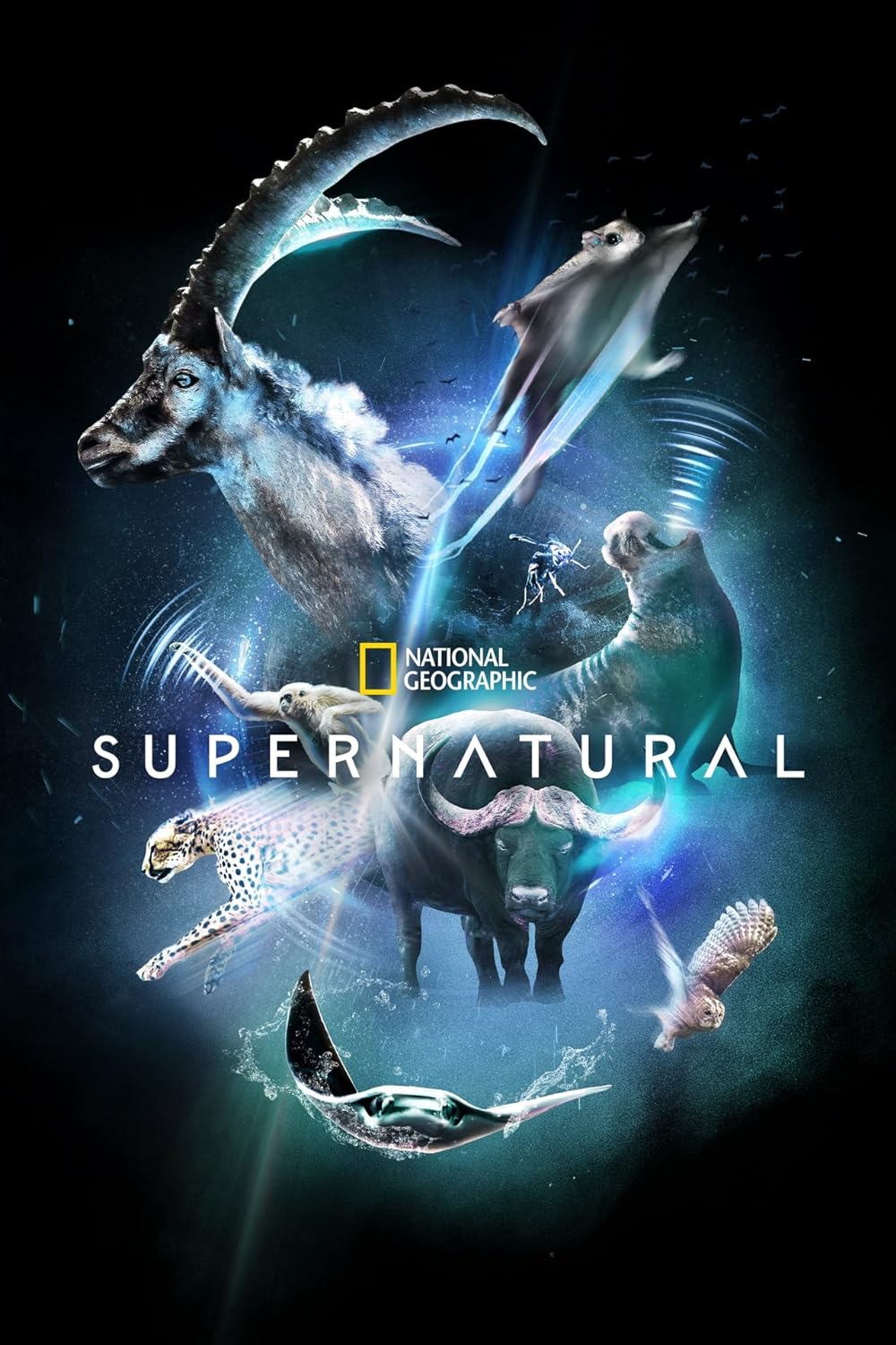 Super/Natural (2022)