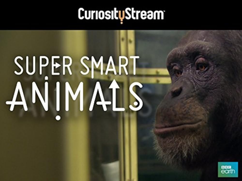 Super Smart Animals (2012)