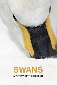 Swans: Mystery of the Missing (2019)