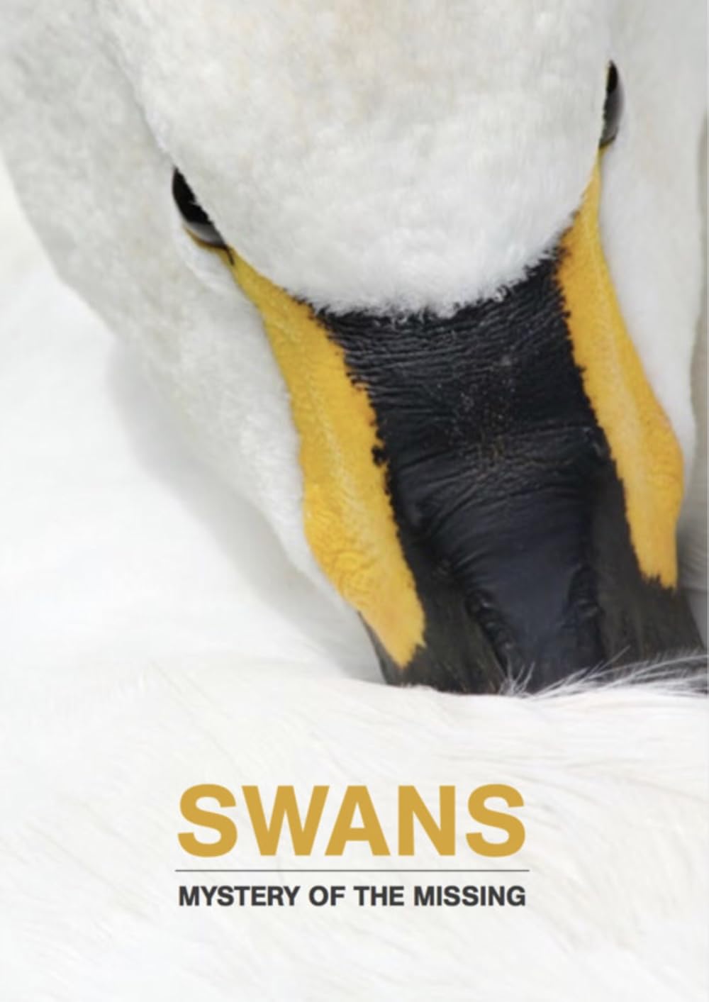 Swans: Mystery of the Missing (2019)