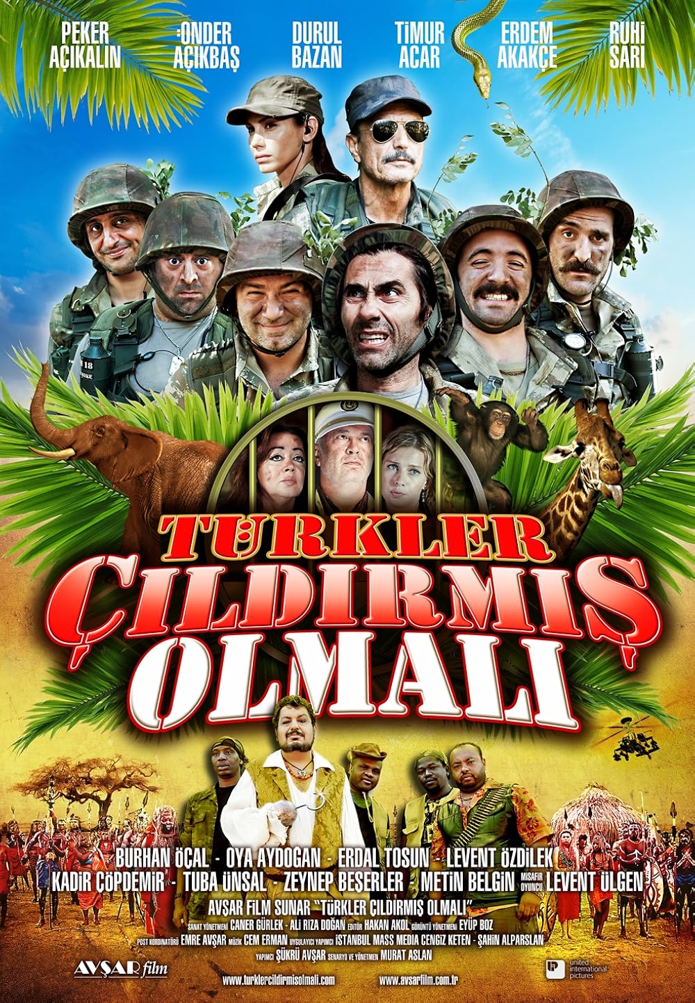 Türkler Çıldırmış Olmalı (2009)