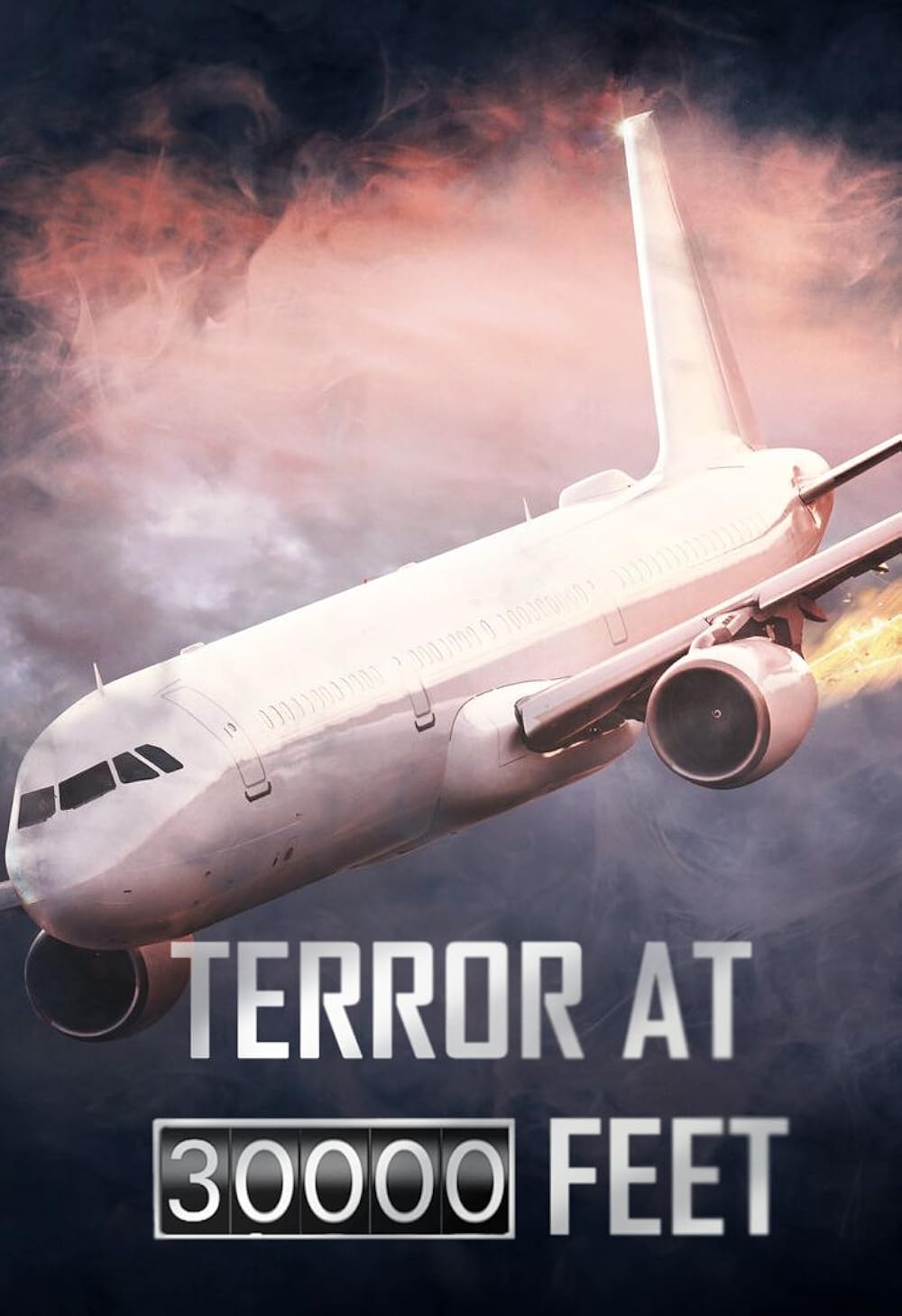 Terror at 30,000 Feet (2024)