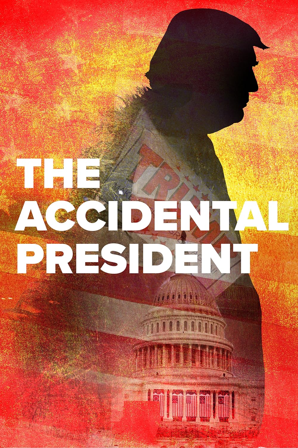 The Accidental President (2020)