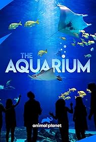 The Aquarium (2019)