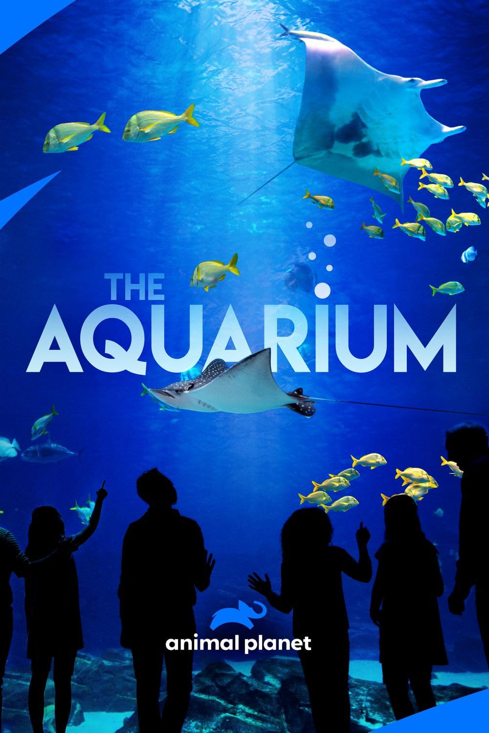 The Aquarium (2019)