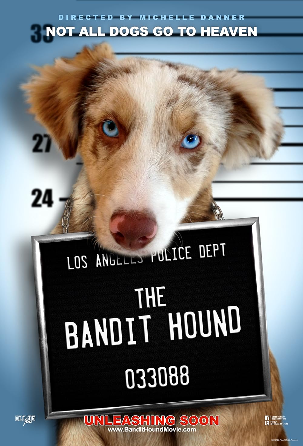 The Bandit Hound (2016)