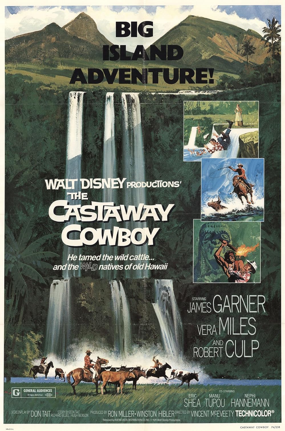 The Castaway Cowboy (1974)