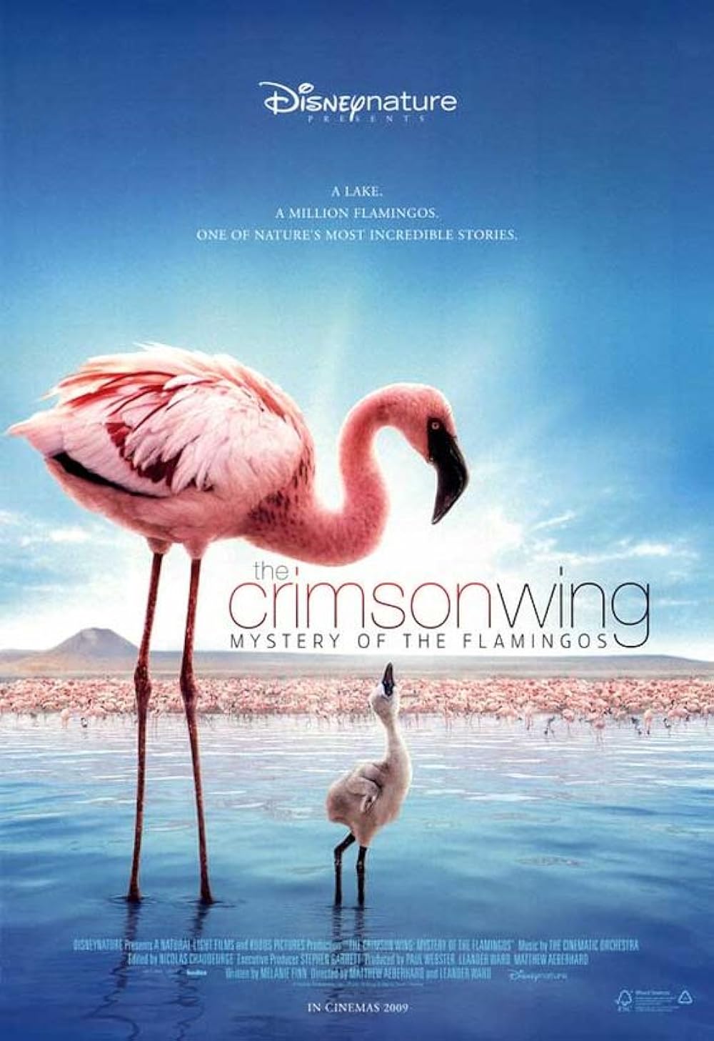 The Crimson Wing: Mystery of the Flamingos (2009)