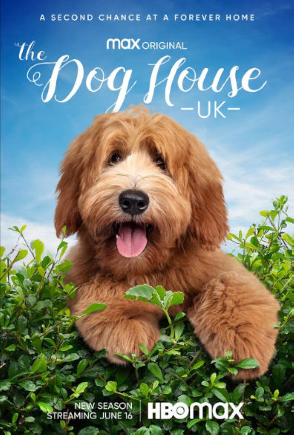 The Dog House (2020)