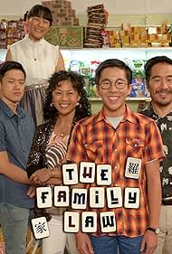 The Family Law (2016)