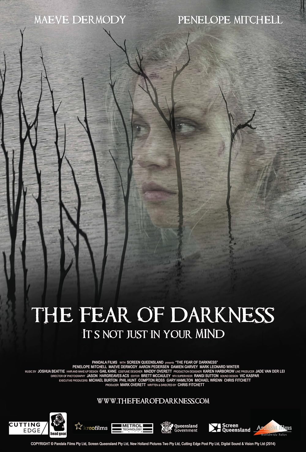 The Fear of Darkness (2015)