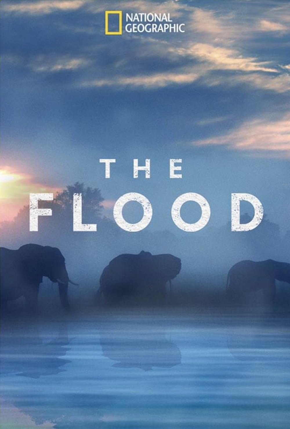 The Flood (2018)