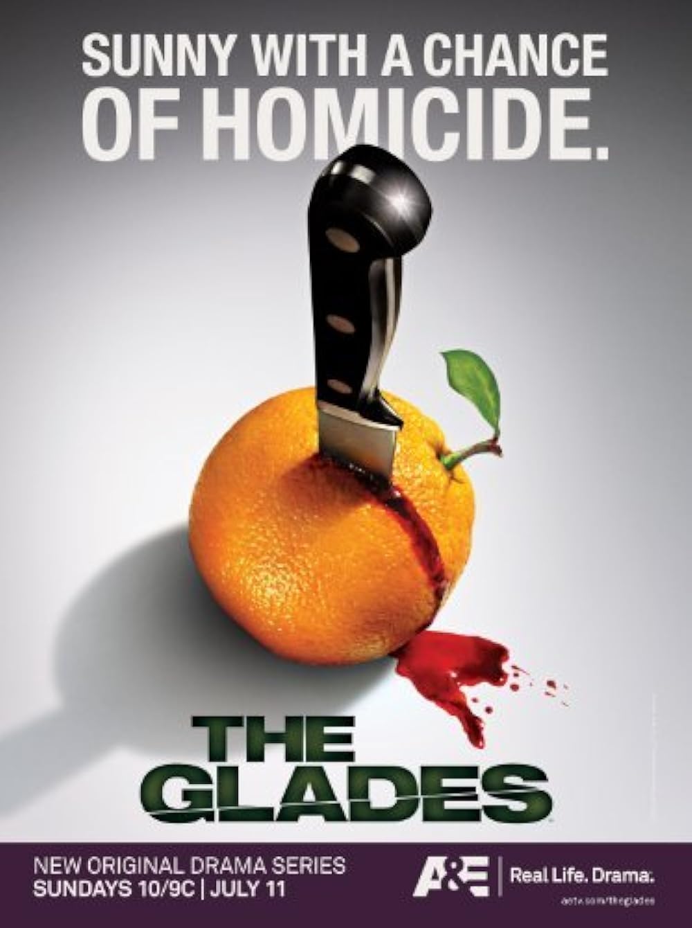 The Glades (2010)