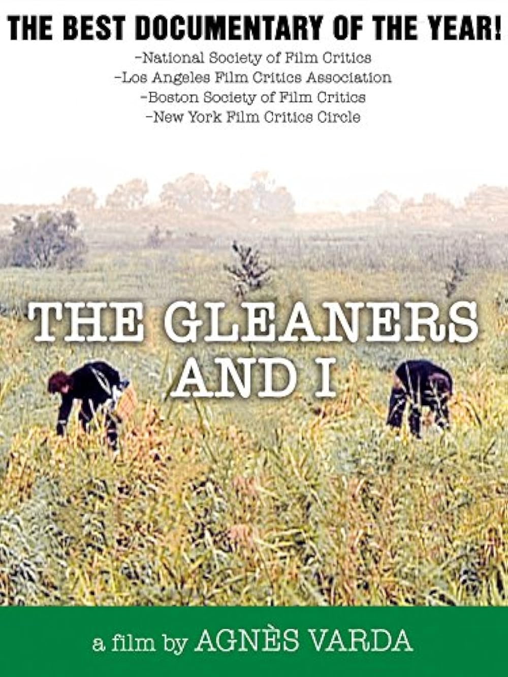 The Gleaners & I (2000)