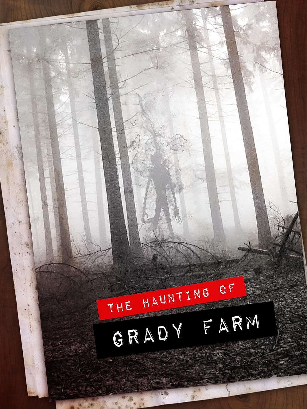 The Haunting of Grady Farm (2019)