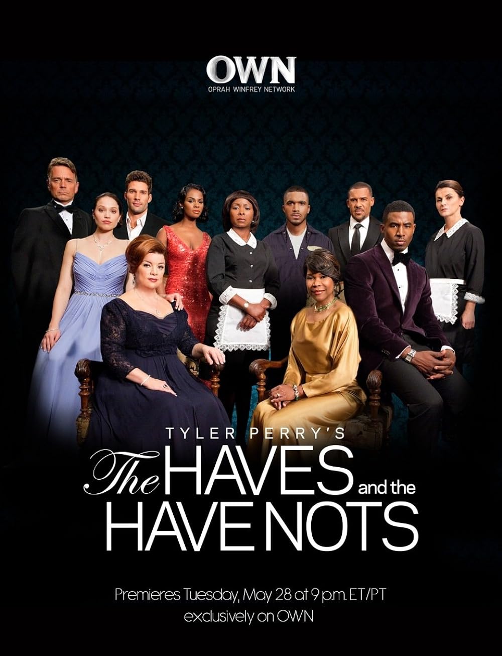 The Haves and the Have Nots (2013)