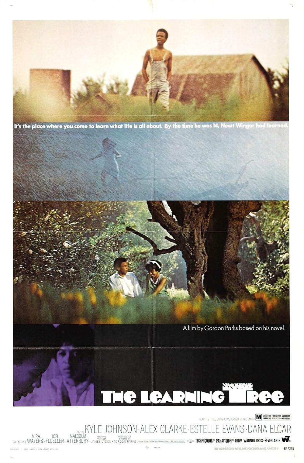 The Learning Tree (1970)