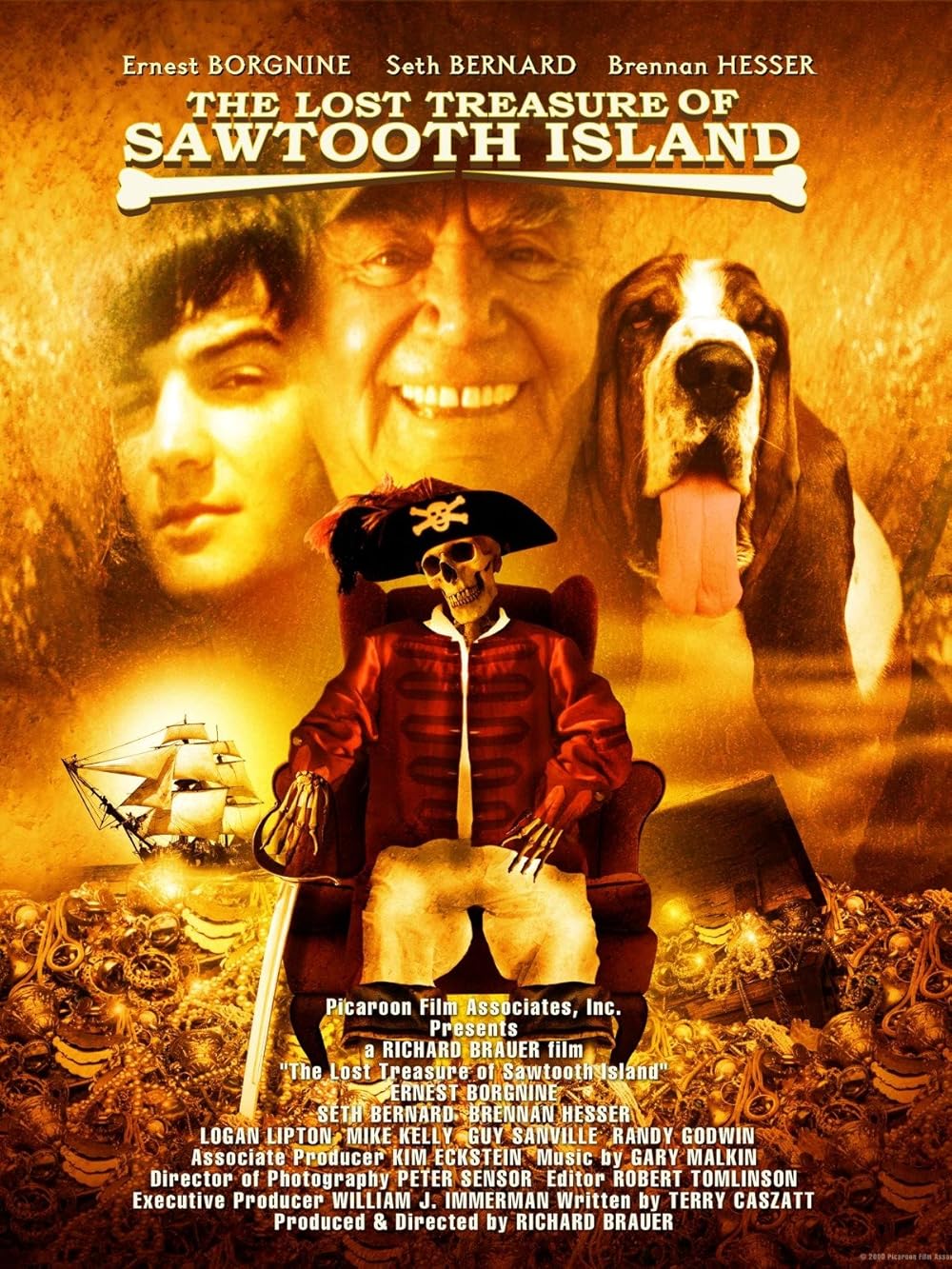 The Lost Treasure of Sawtooth Island (1999)