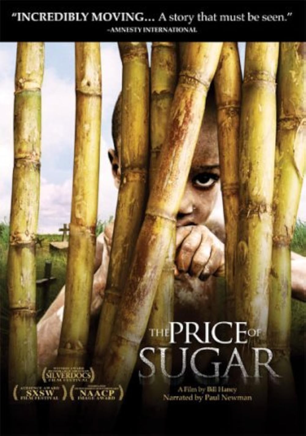 The Price of Sugar (2007)