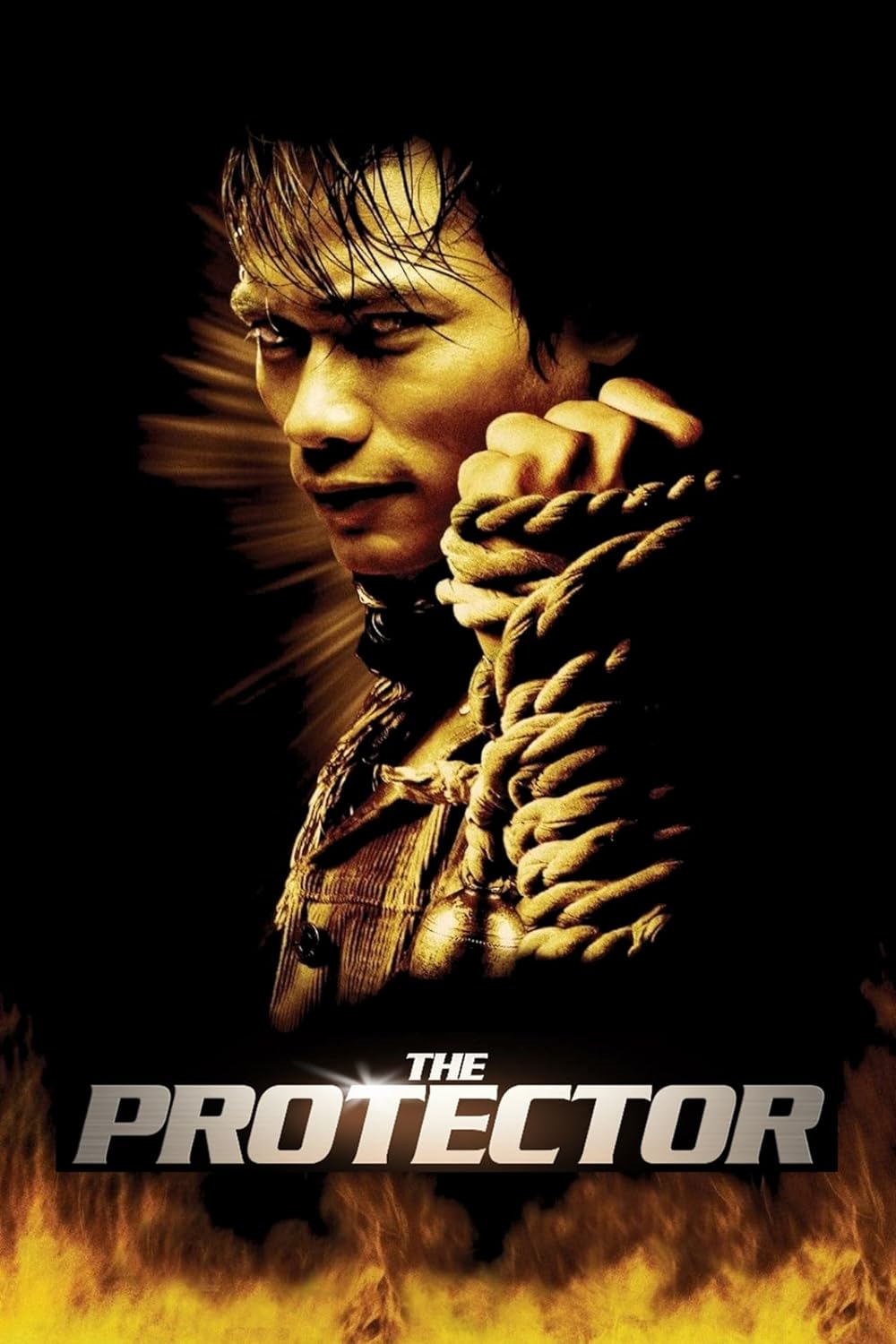 The Protector (2006)