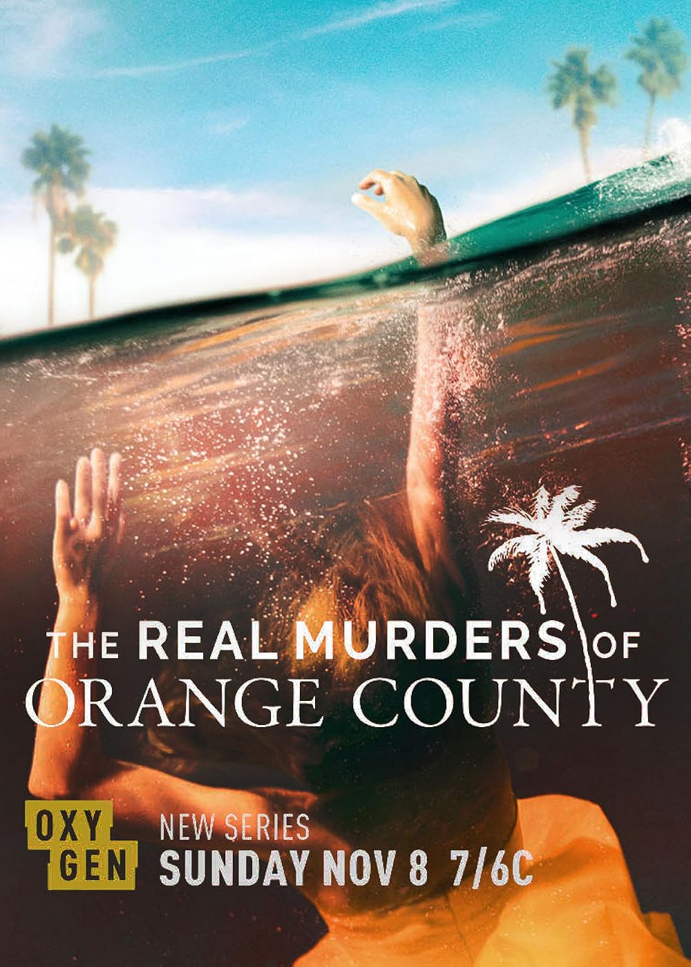 The Real Murders of Orange County (2020)