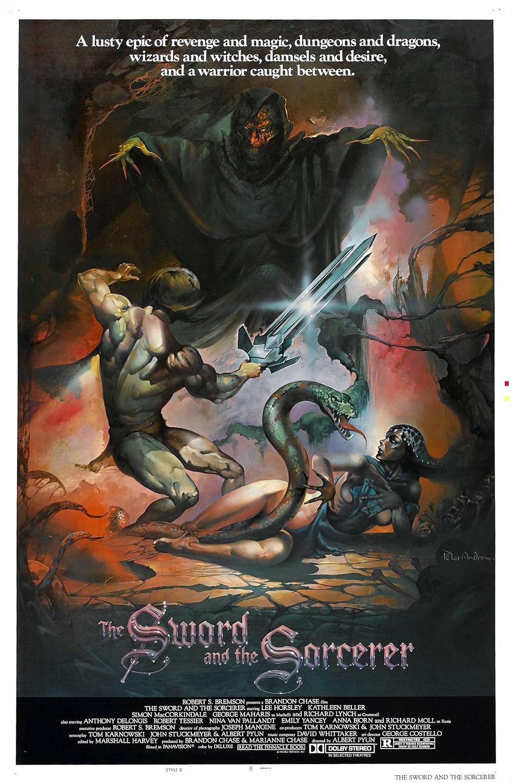 The Sword and the Sorcerer (1982)