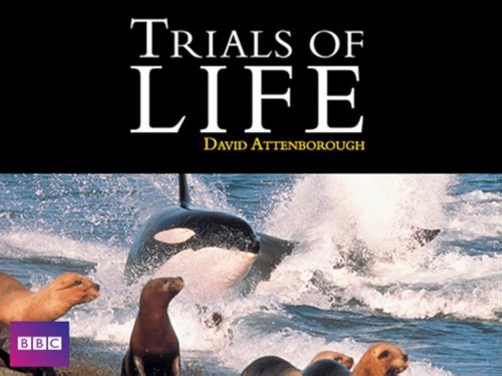 The Trials of Life (1990)