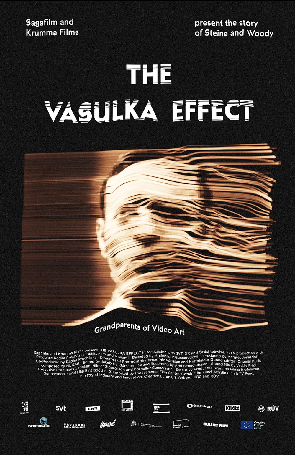 The Vasulka Effect (2019)