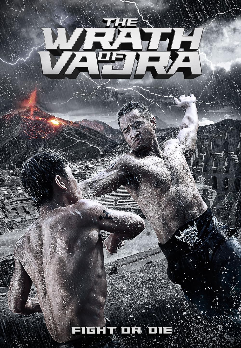 The Wrath of Vajra (2013)