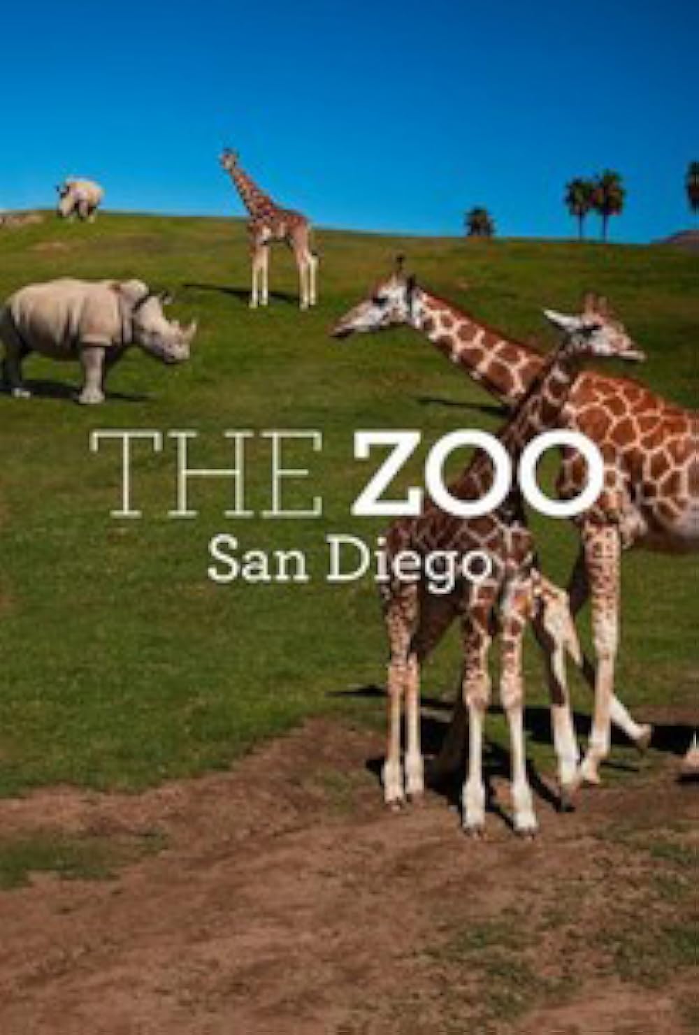 The Zoo: San Diego (2019)