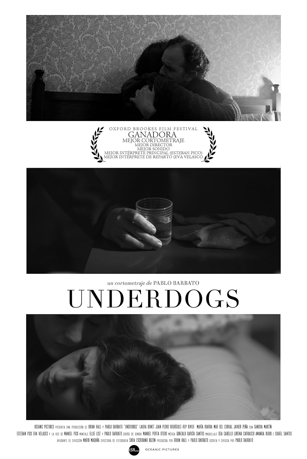 Underdogs (2016)