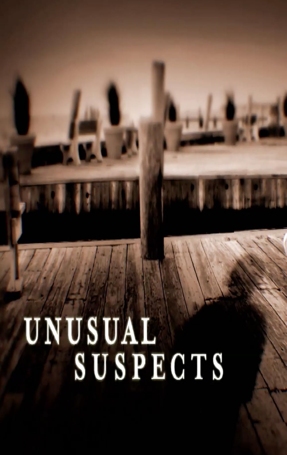 Unusual Suspects (2010)